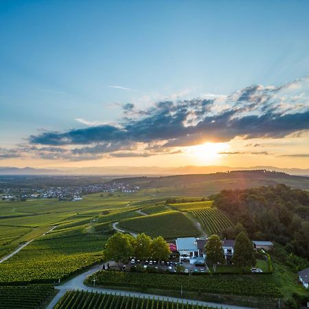 Koepfers Steinbuck Hotel Bischoffingen ภายนอก รูปภาพ