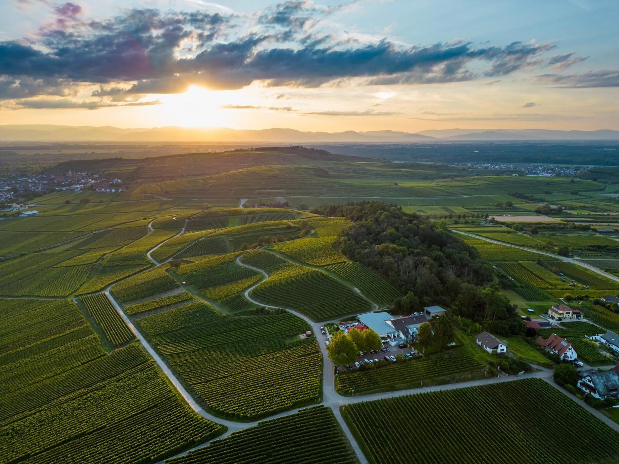 Koepfers Steinbuck Hotel Bischoffingen ภายนอก รูปภาพ