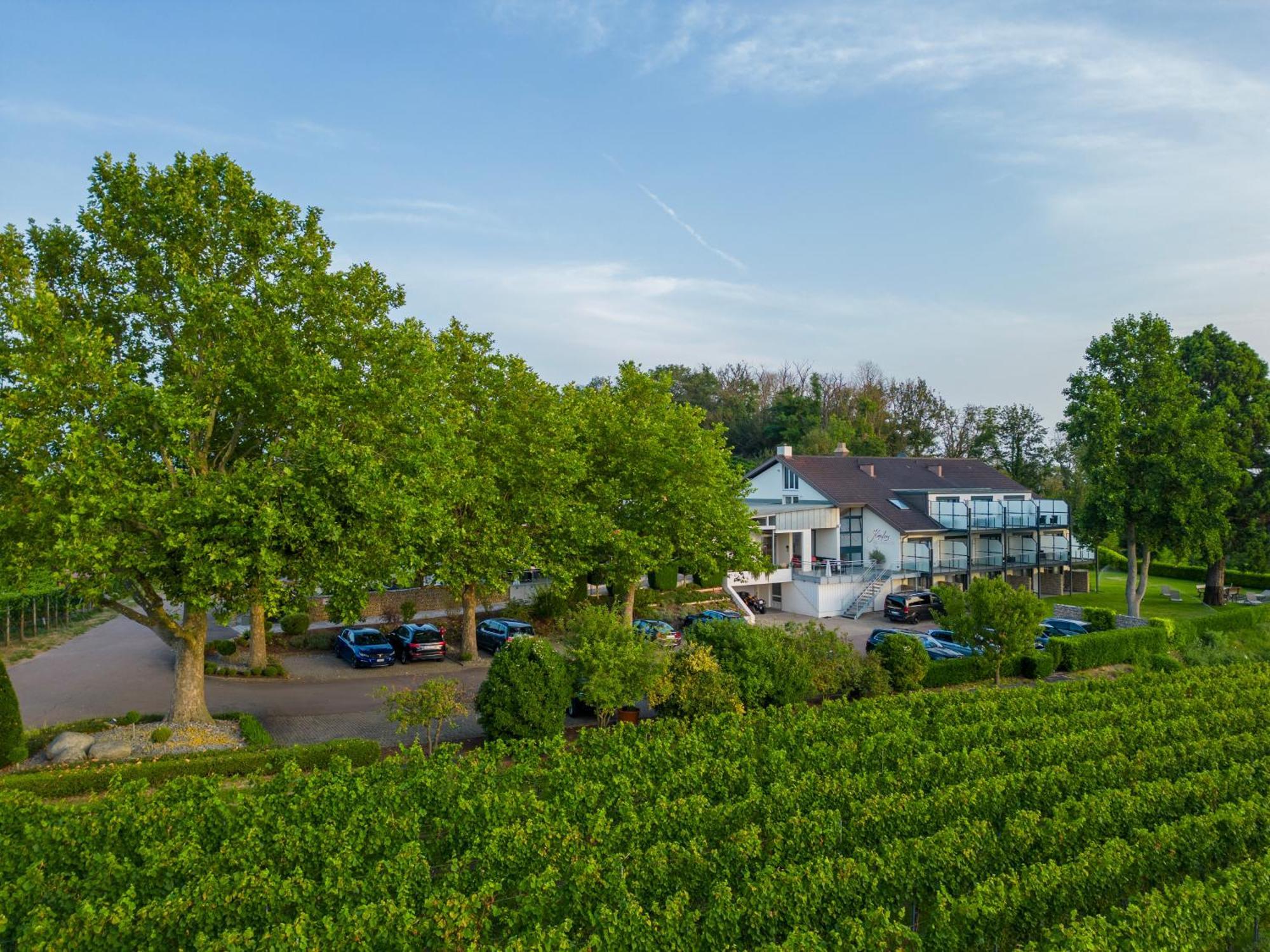 Koepfers Steinbuck Hotel Bischoffingen ภายนอก รูปภาพ