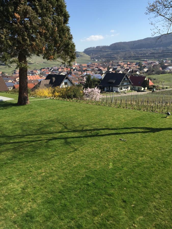 Koepfers Steinbuck Hotel Bischoffingen ภายนอก รูปภาพ